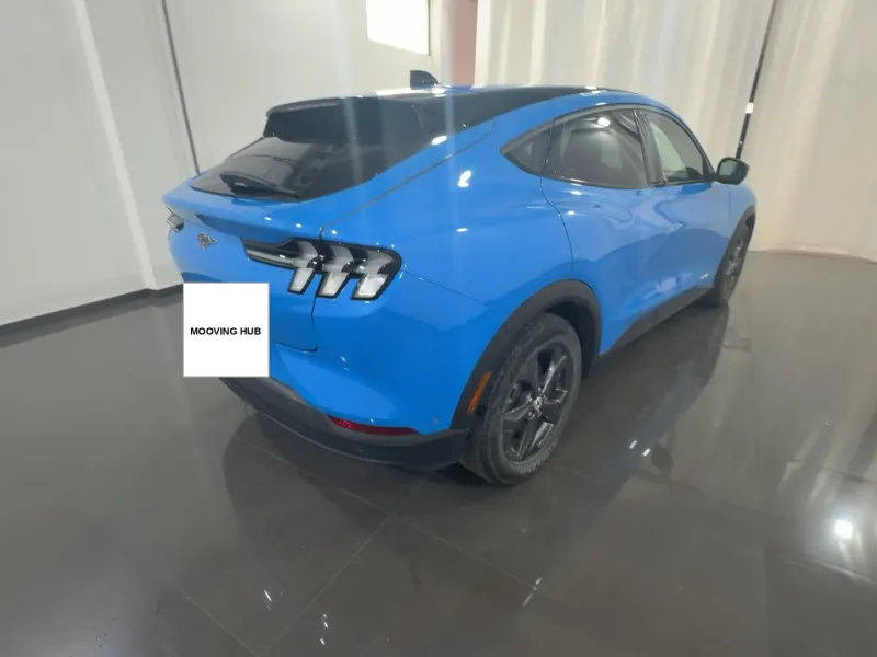 Mustang