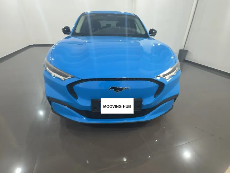 Mustang