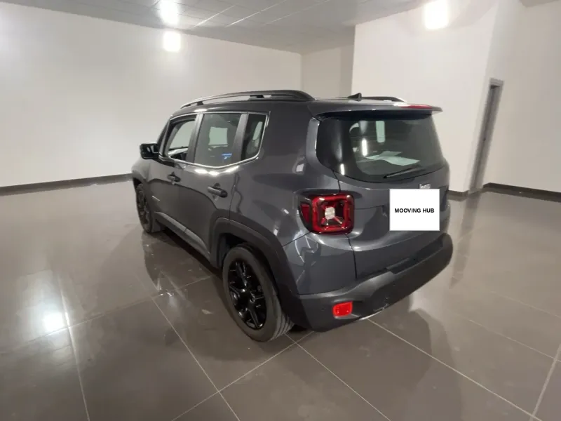 Renegade
