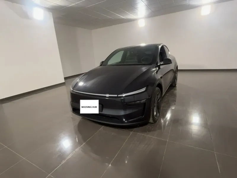 Model Y