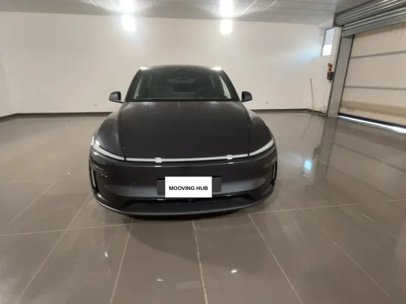 Model Y