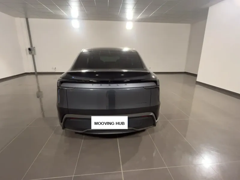 Model Y