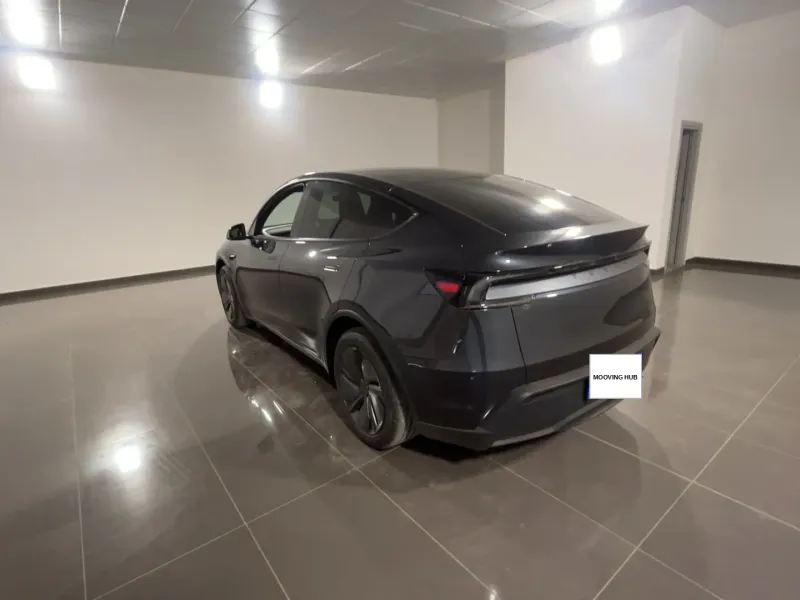 Model Y