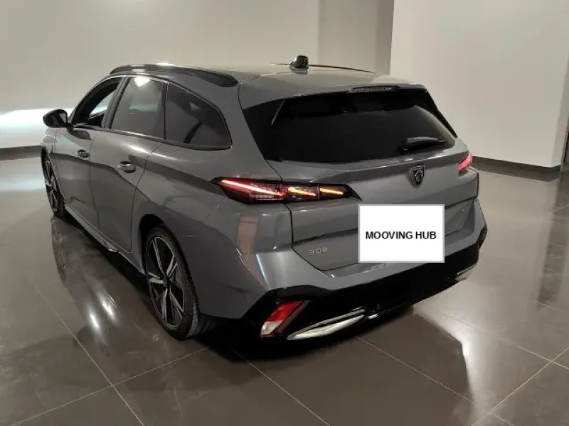 308 SW