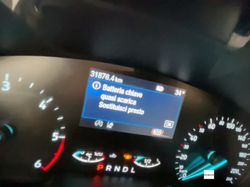 Focus 5 Porte
