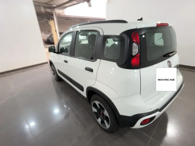 Panda