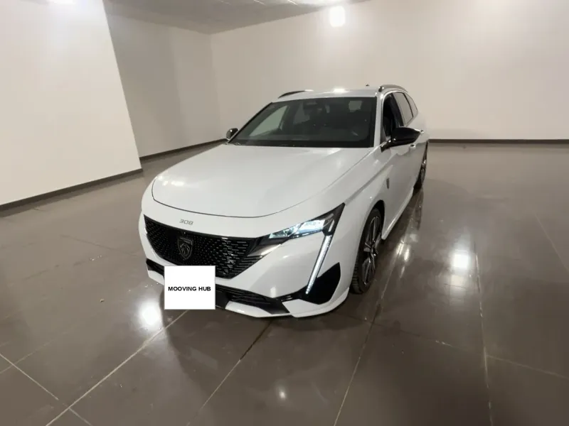 308 SW