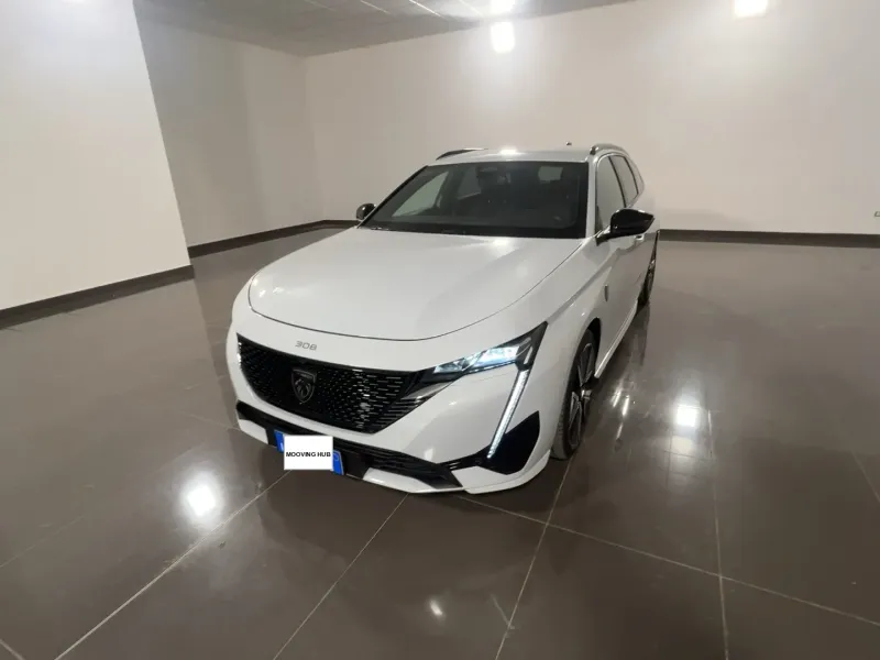 308 SW