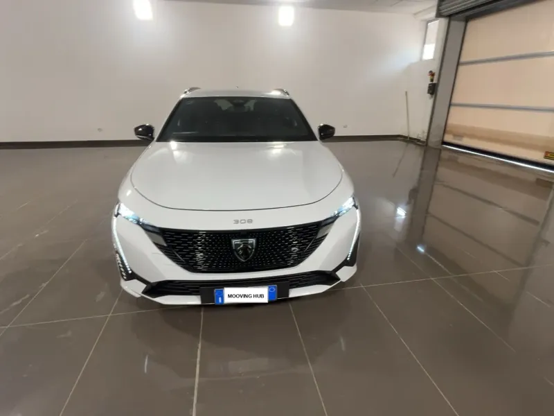 308 SW