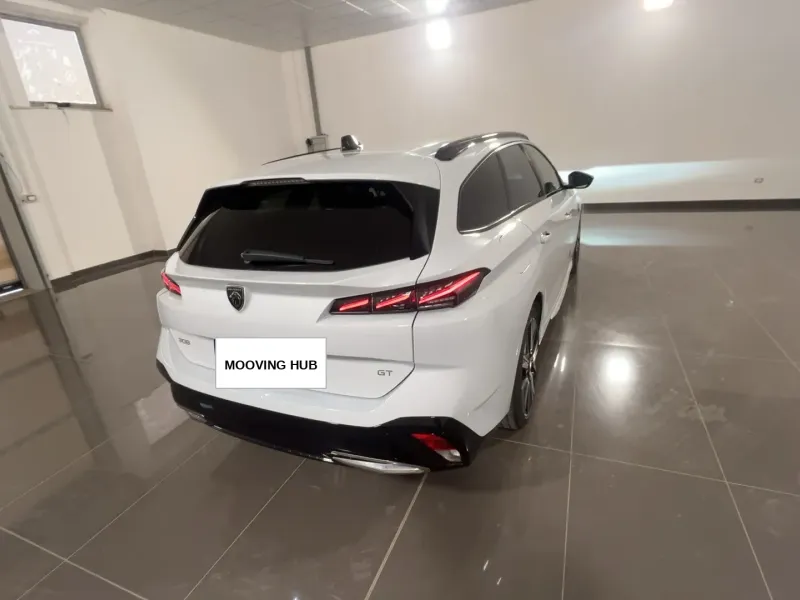 308 SW