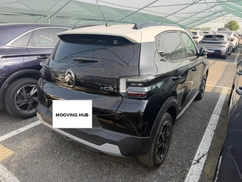 C3