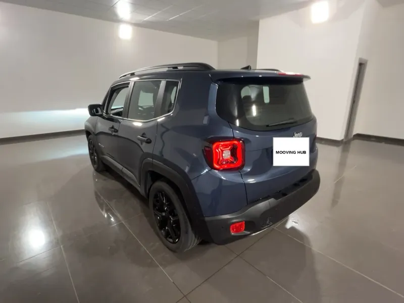 Renegade