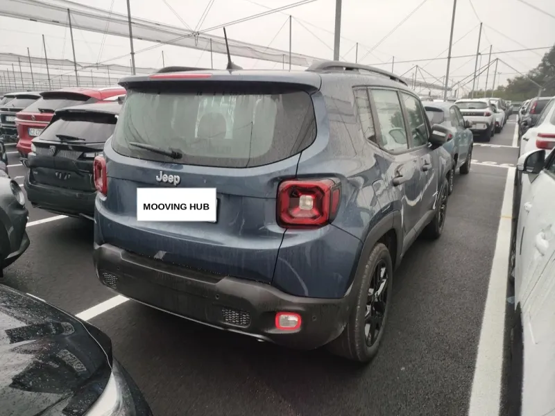 Renegade