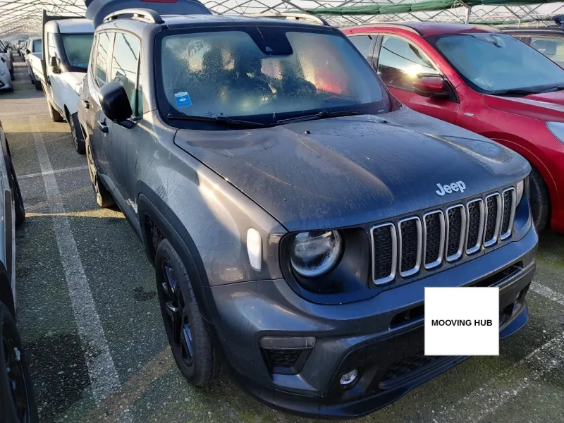 Renegade