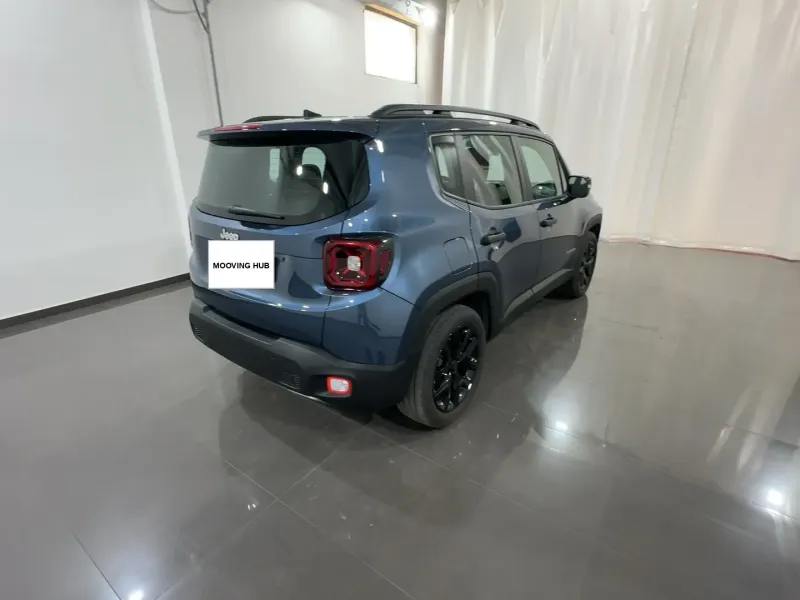Renegade