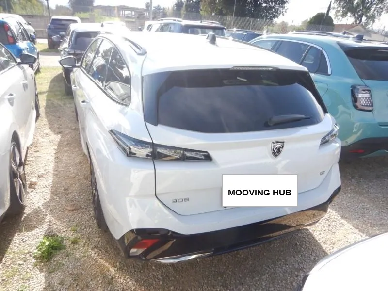 308 SW