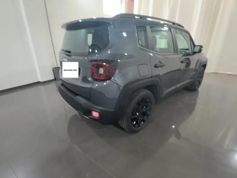 Renegade