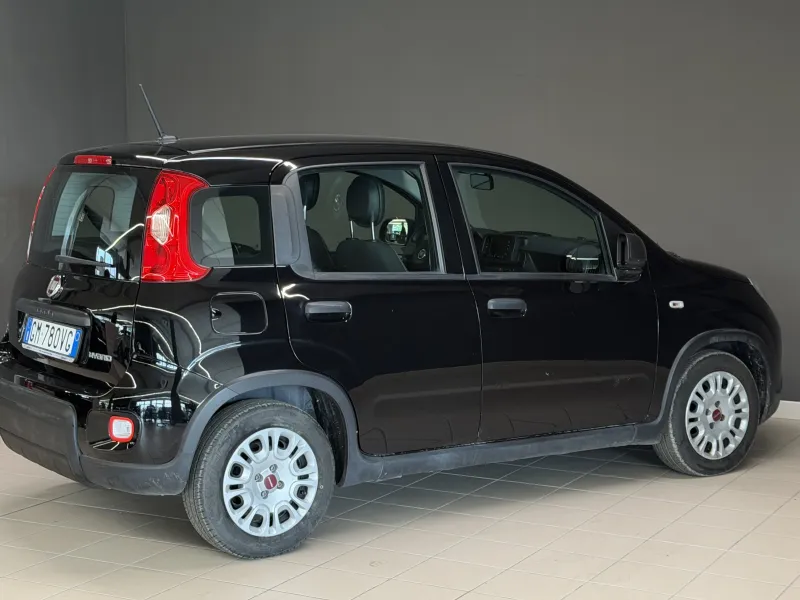 Panda