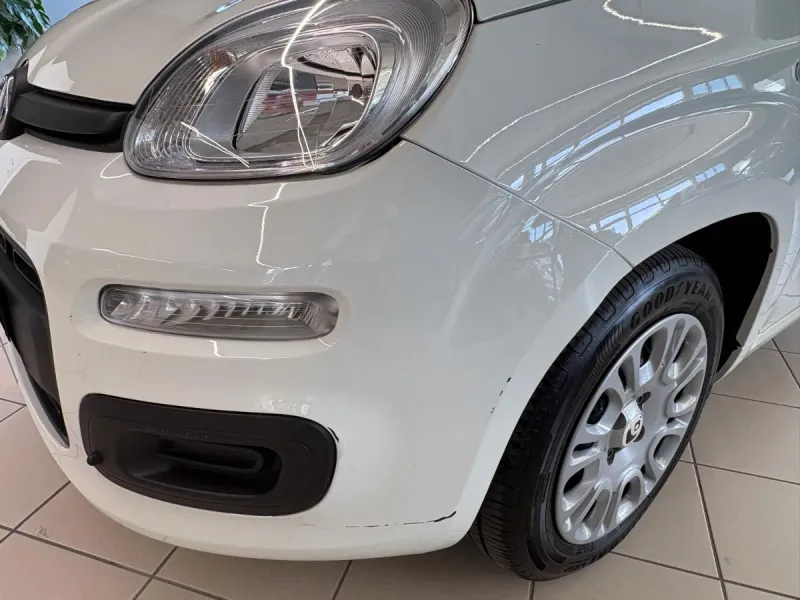 Panda