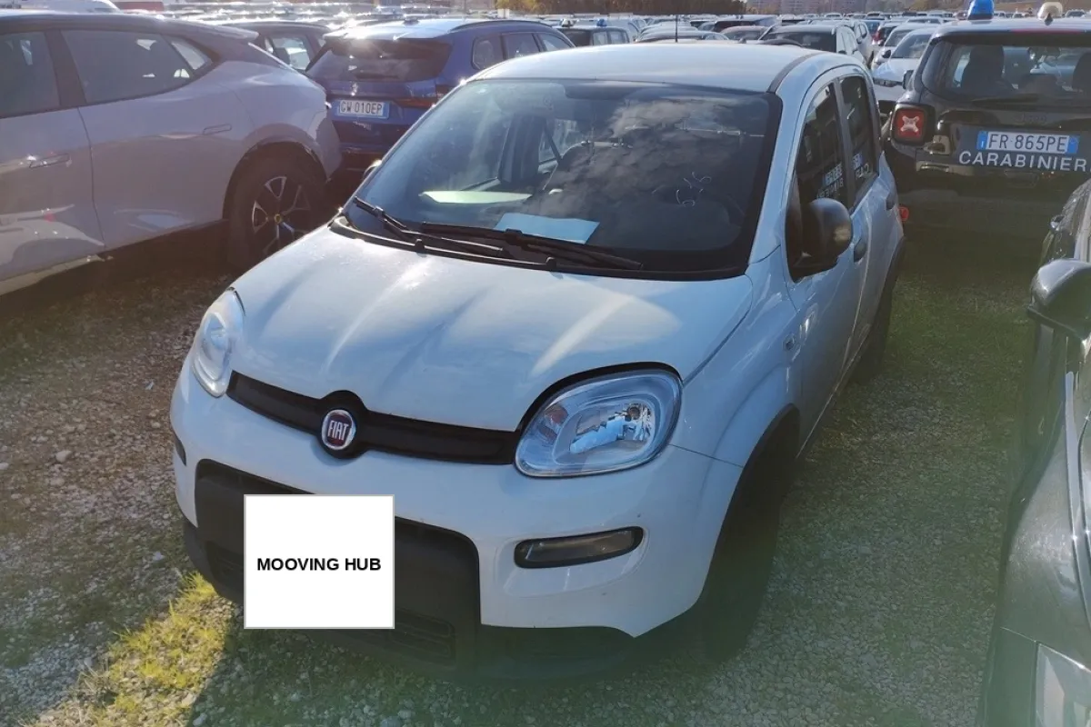 Panda