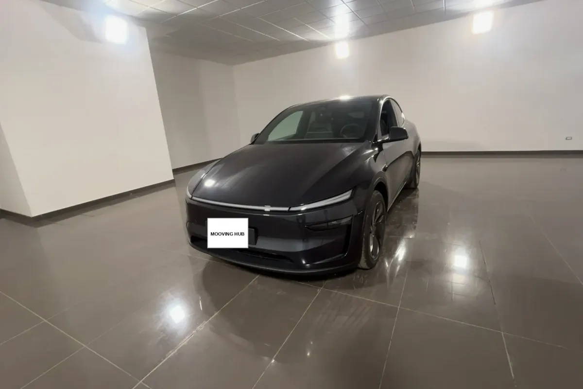 Model Y