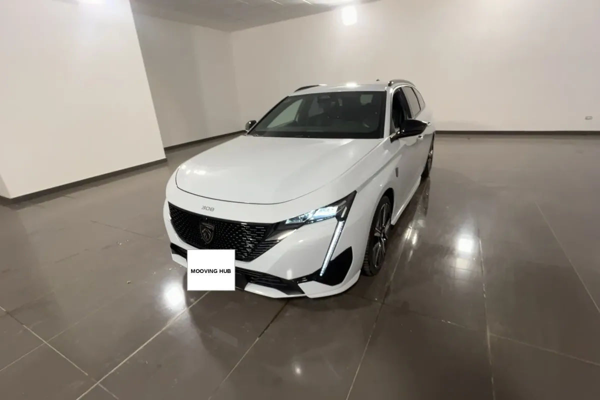 308 SW