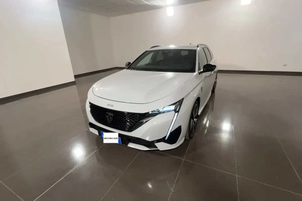 308 SW
